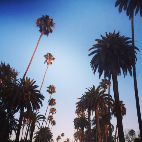 12493924_10153776213999070_6124052809567411590_o