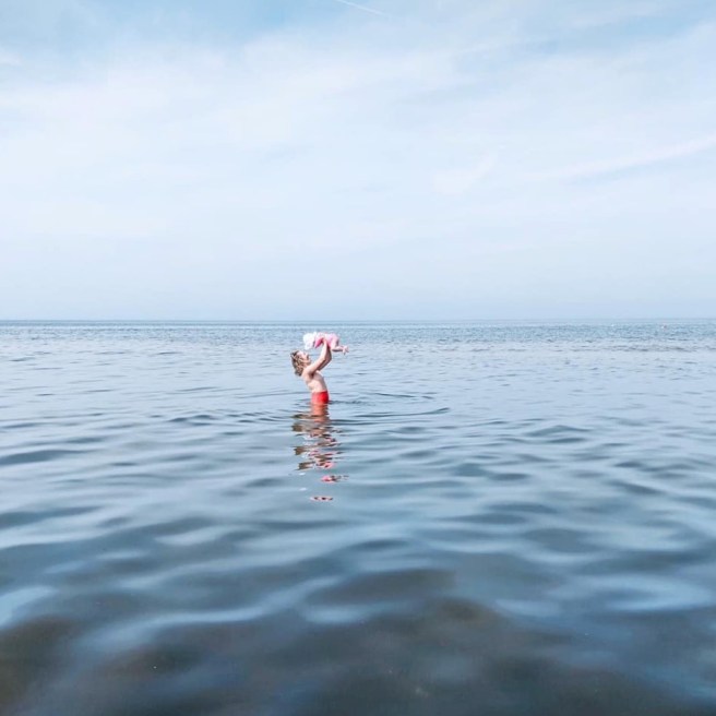 66301815_10157199265649070_6894902177853079552_n